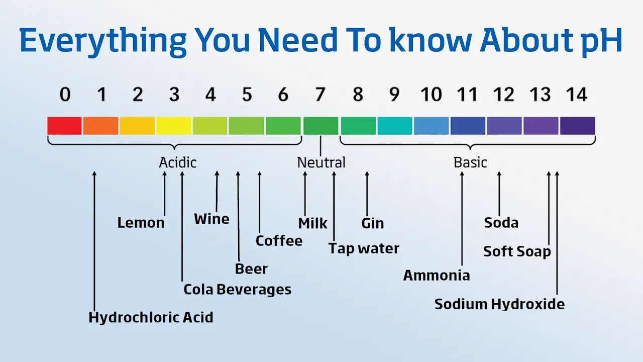 Drinking Water Ph Level Chart India